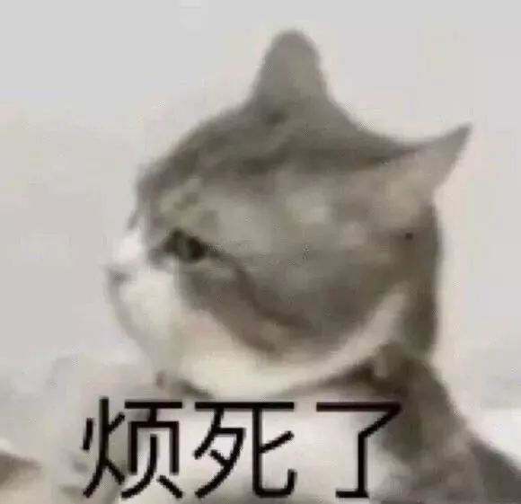 表情包 再遗忘