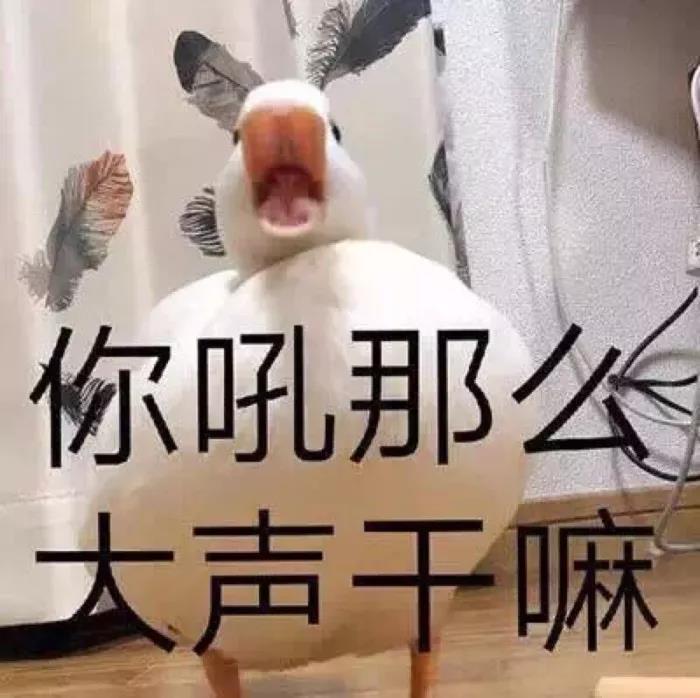 沙雕,搞笑,表情包,聊天,大佬