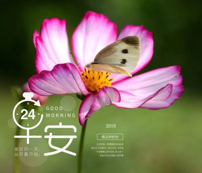 早安心语新的一天精美语句 最漂亮早安图片大全