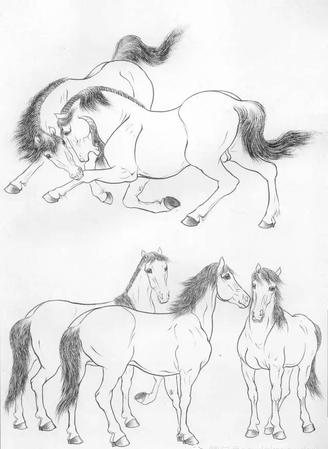 马的画法从白描到上色,收藏起来吧!