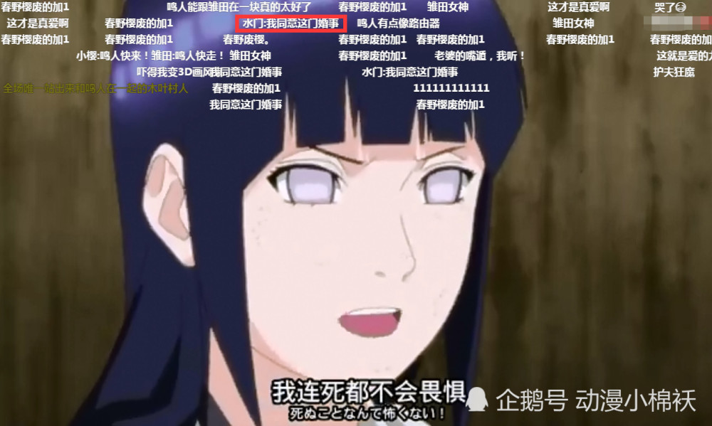 鸣人,雏田,佩恩,弹幕,火影