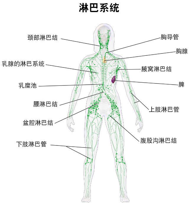 在美发店,如何躲过tony老师们的"美容陷阱"?