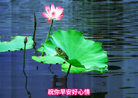 最新早上好漂亮动态祝福图片,微信很赞的早上动画图片