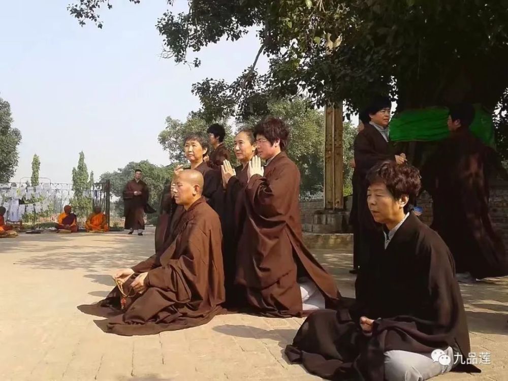 上明下续恩师和居士们在菩提树下打坐念佛201211拍摄