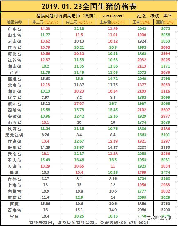 今日全国猪价-天天快报