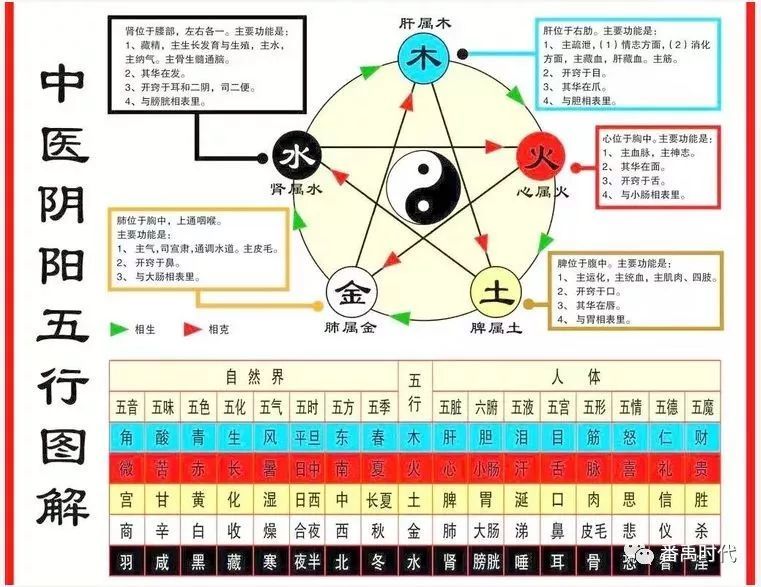 中医五行相乘相侮病理