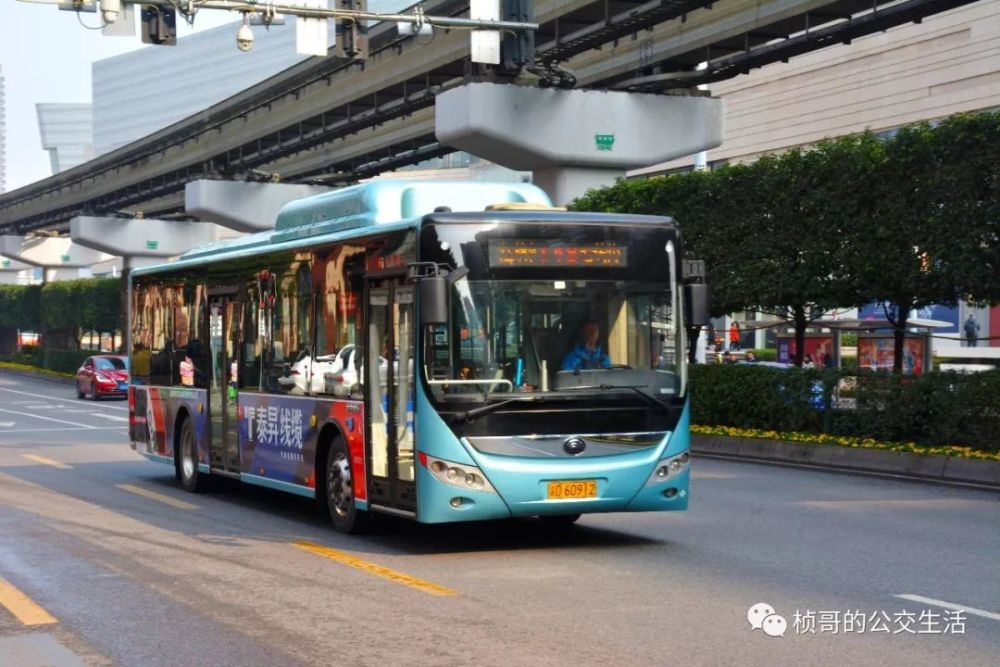 重庆公交转型改革的关键车型:12米宇通和海格天然气公交车