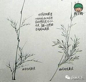 国画,画法,运笔,书法,墨色,紫竹