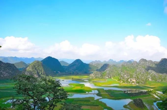 悦行春节 云南普者黑 世外桃源坝美村,十万亩罗平花田