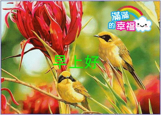 2019最新特别漂亮早上好表情动态图片,最美早上好问候