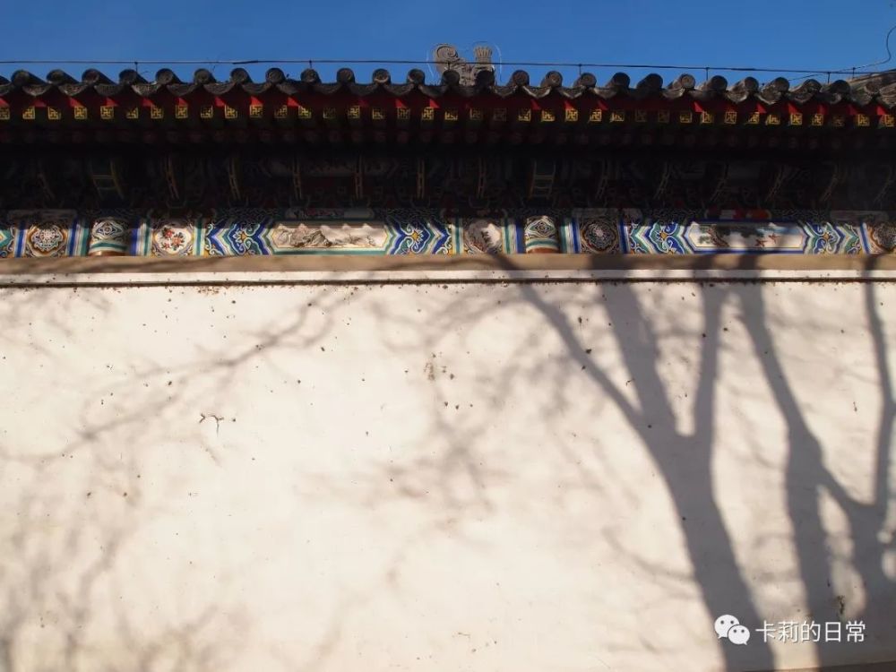 有树影 映在墙面 上的,白墙成了天然的画布,而阳光下的阴影则成了浑然