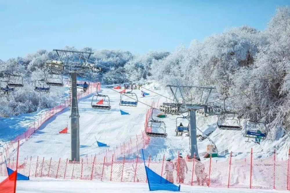 九鼎山,太子岭滑雪场,阿坝州,滑雪场,雪景