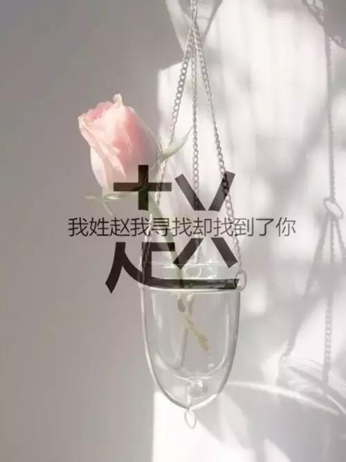 每个姓氏里都有句"扎心情话",姓岳的居然这么感人!