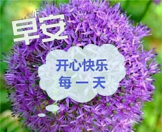 清晨阳光暖心的早上好祝福语动态表情图片,最美早安祝福问候短信