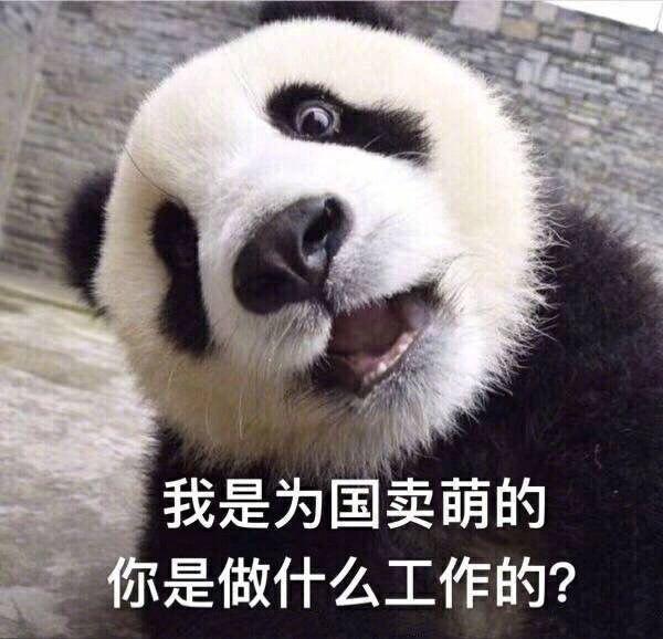 大胖脸搞笑时刻:90年代的富人约会
