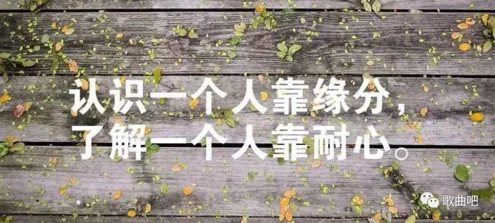 《感谢缘分让我们相遇》《谢谢遇见你》《雨花石》《西海情歌》《红尘