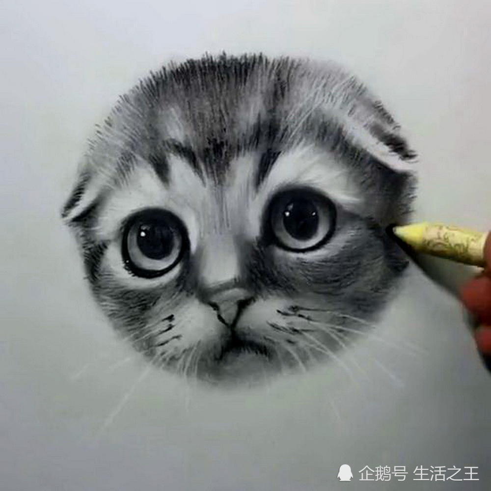 美术生画小猫咪,看眼睛以为是青铜,点上高光后网友:这