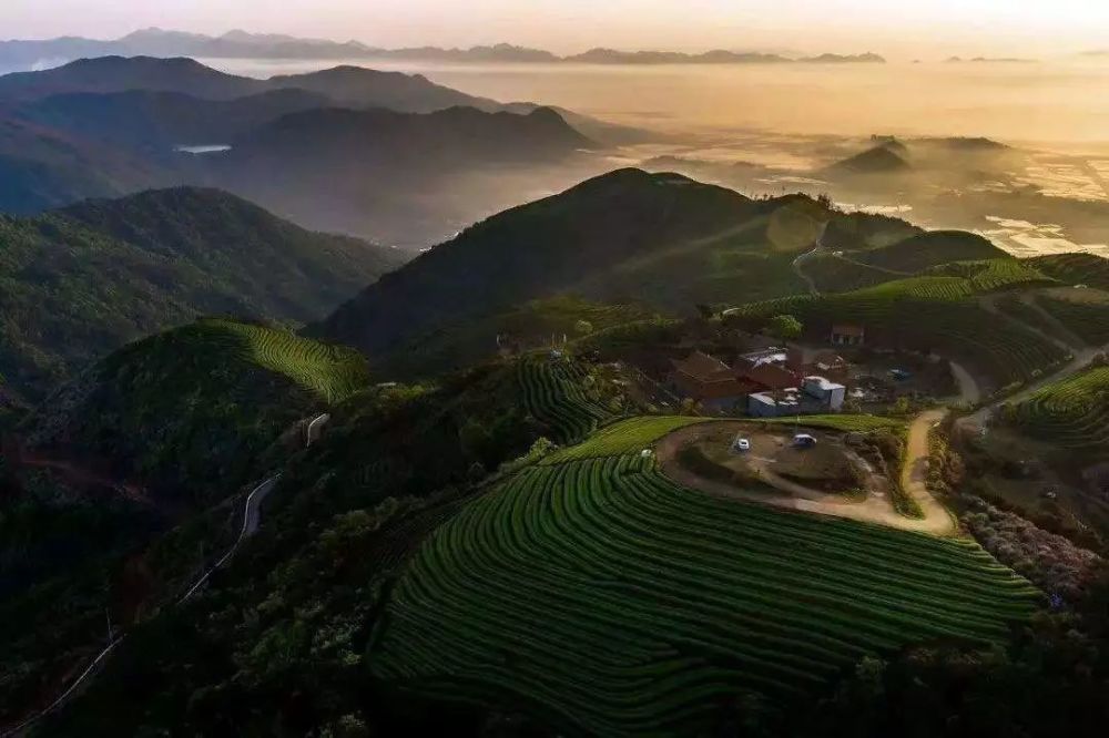 为何都说连江长龙茶山美?原因竟然是