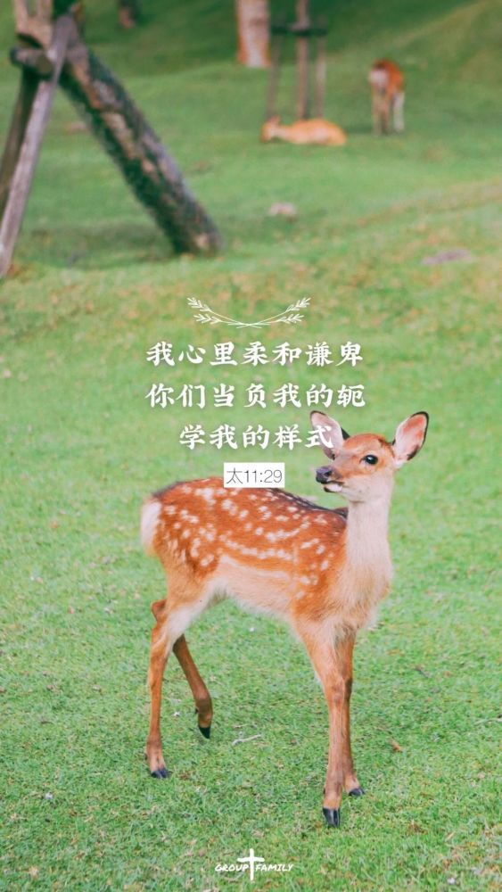 谦卑是受造者的荣耀