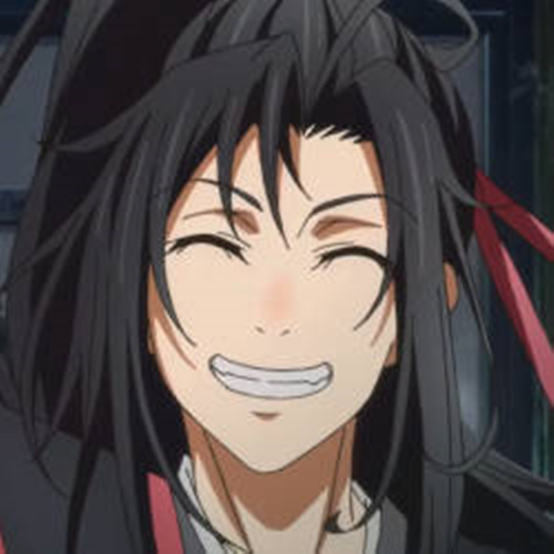 魏无羡,蓝忘机,魔道祖师,国漫,动画