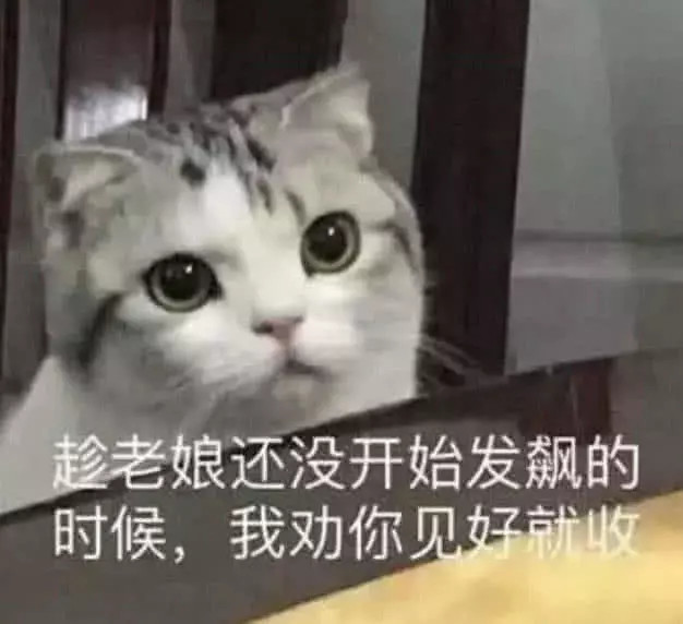 霸气侧漏的表情包:"趁我还没有发飙的时候,我劝你见好