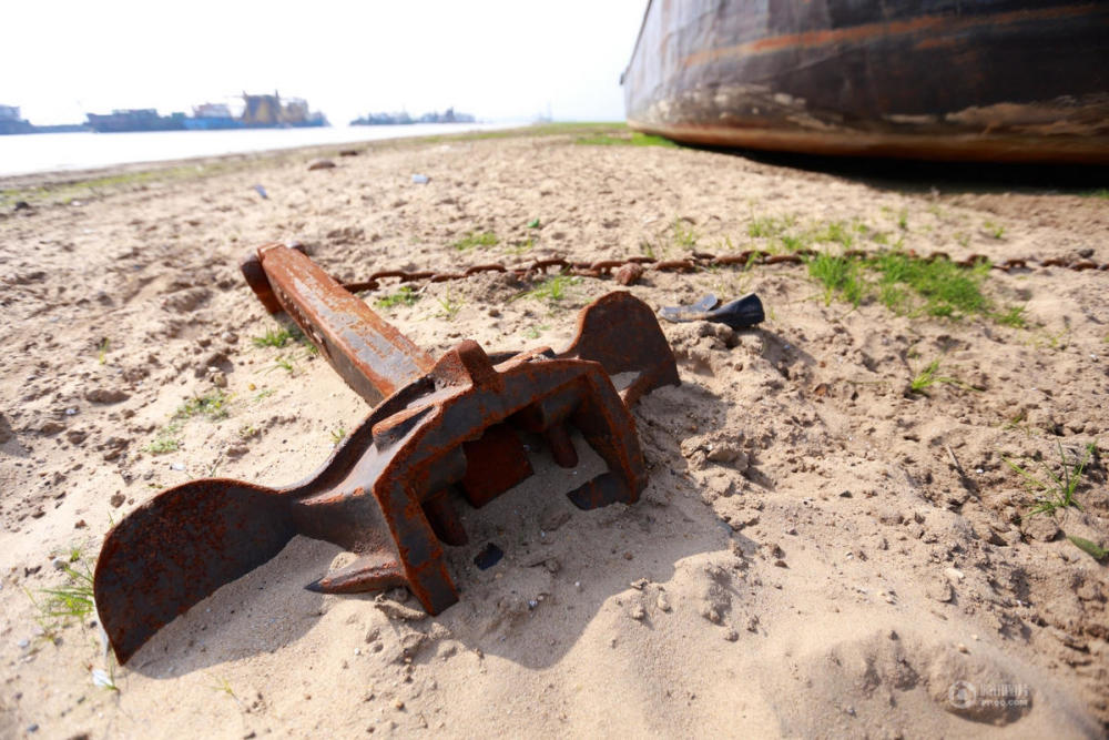 中国最大淡水湖鄱阳湖变大草原