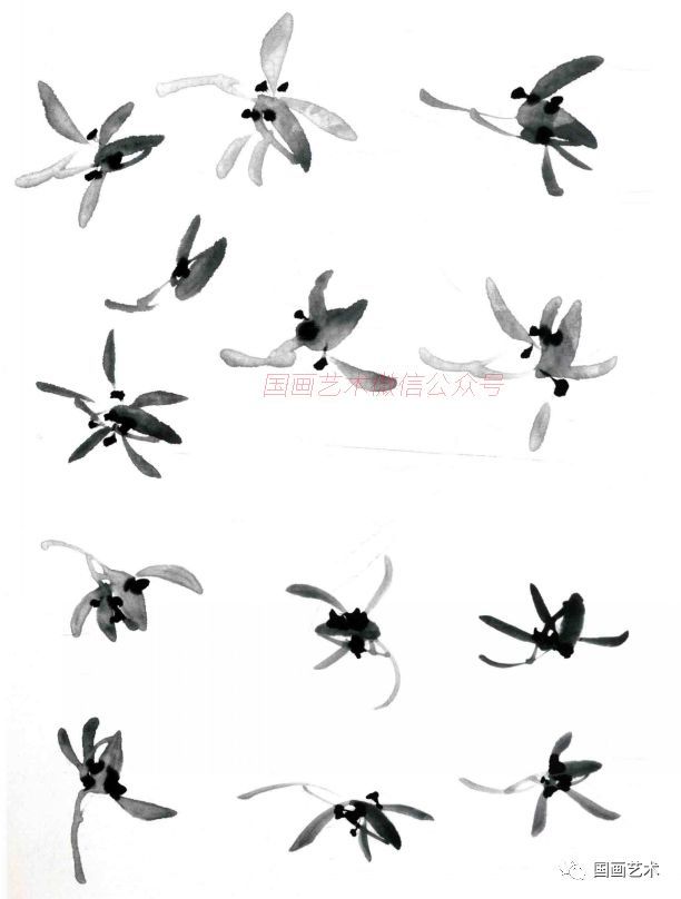 图文教程:国画基础技法详解之兰
