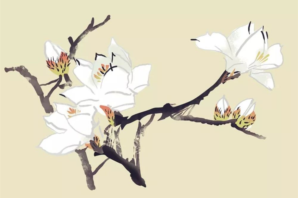 手机壁纸 国画唯美,繁花似锦