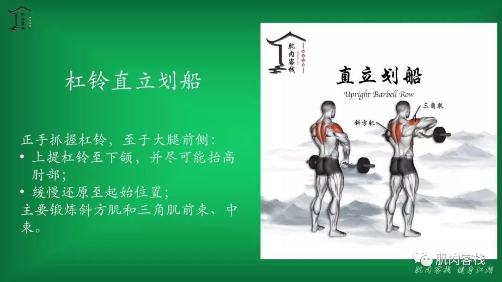 用ppt为你详细解读肩部肌肉,健身动作和训练计划