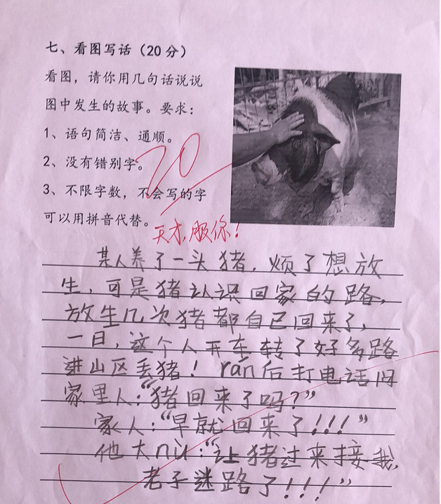 小学生奇葩作文,网友看完笑痛肚子,老师看完直接叫家长