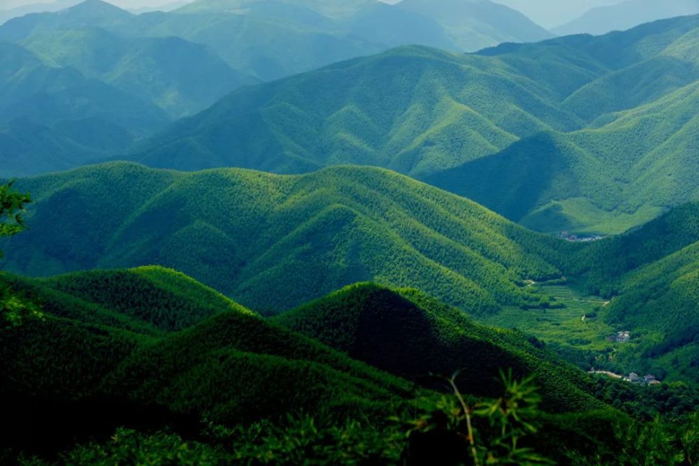 连绵起伏的山峦,清凉纯净的山泉,一望无际的云海,清雅脱俗的秀竹,这