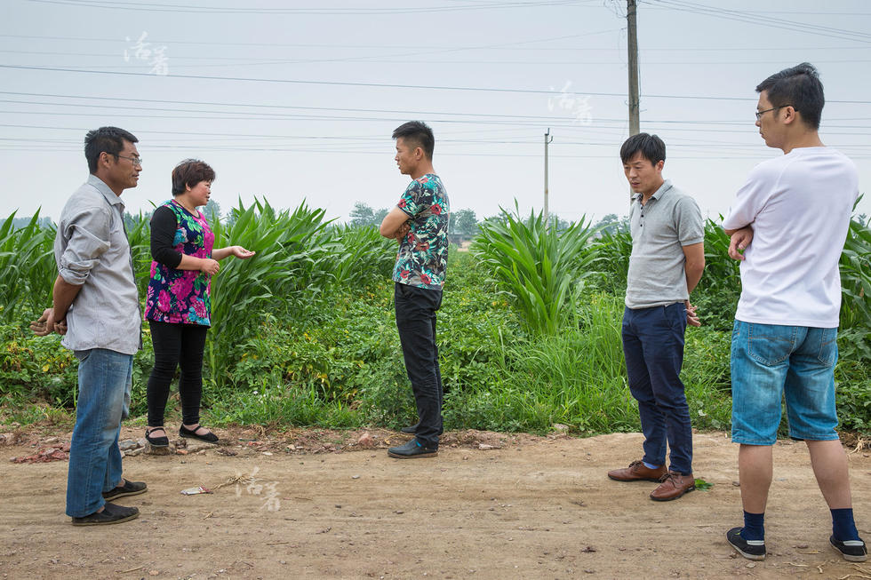 【活着】潘庄:空心农村的坚守与出路