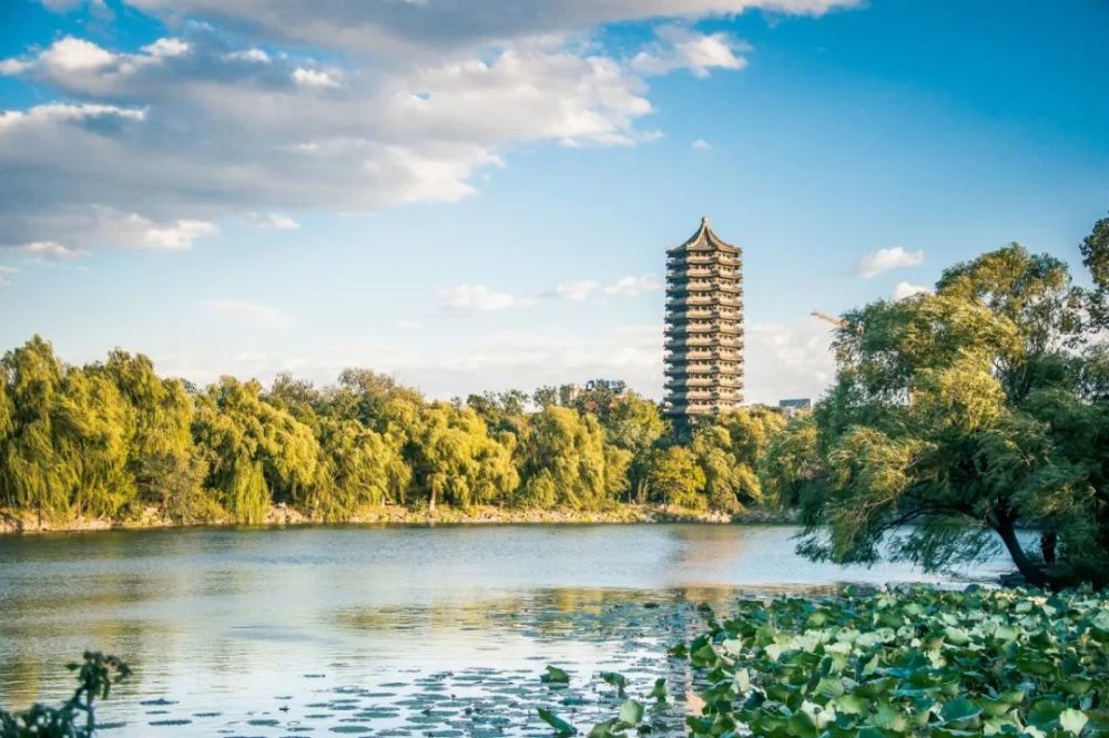 在大学校园,遇见最美的春天,哪一所是你心中的