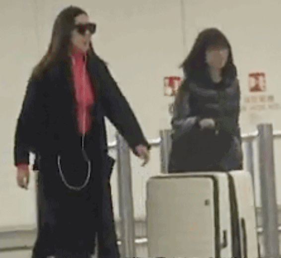 钟嘉欣发着高烧仍回港赚养娃钱,生完二胎靠母乳喂养塑造s型身材