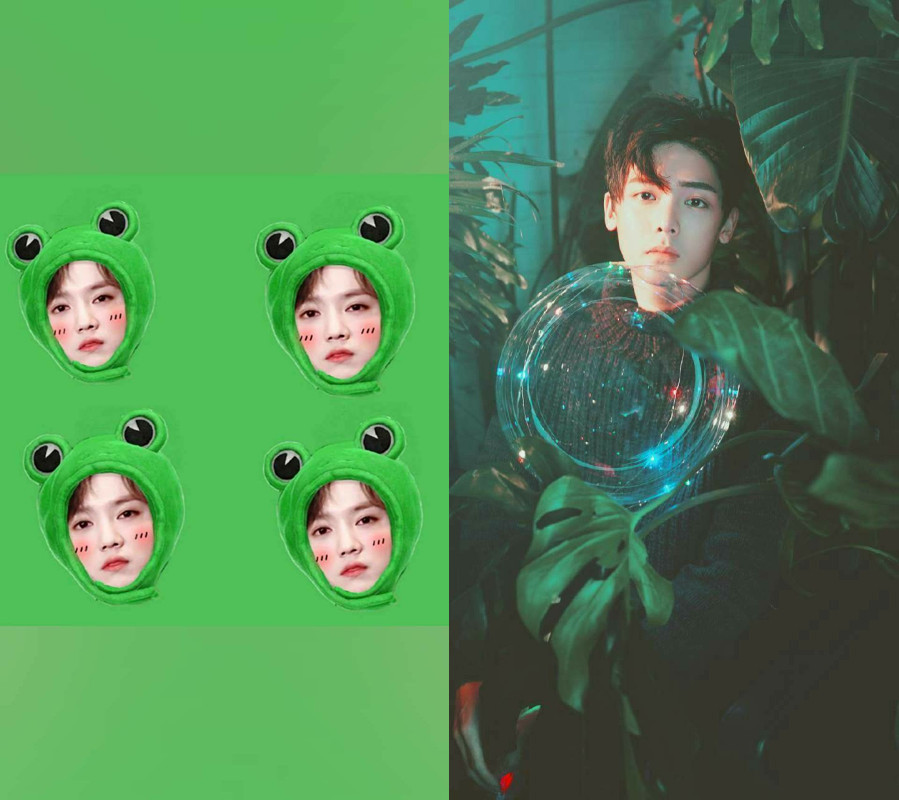 ins超火·唯美·原谅色壁纸:你不必冷淡,我从未想过要