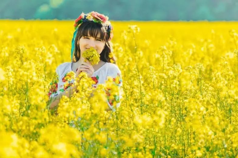 "一望无际的油菜花海" 走进花海中央 你便不再是一个人 花儿也热情的