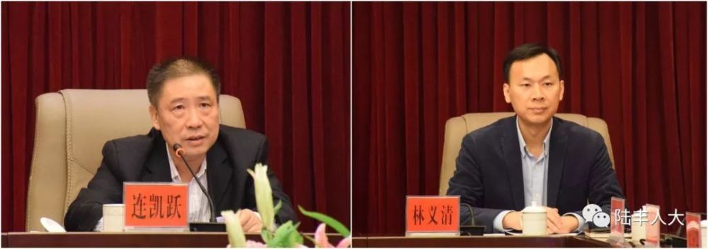 陆丰市十五届人大常委会第二十二次会议任免名单