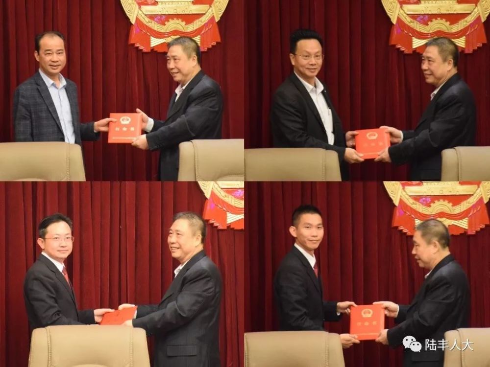 陆丰市十五届人大常委会第二十二次会议任免名单
