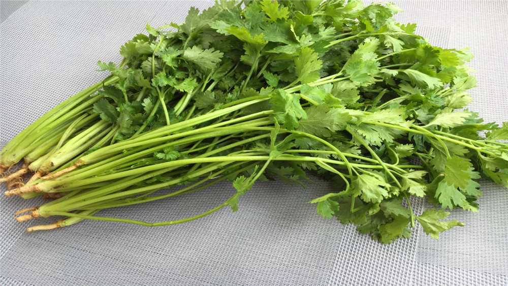 为什么男生要少吃"香菜"?对身体有什么影响?看完得重视
