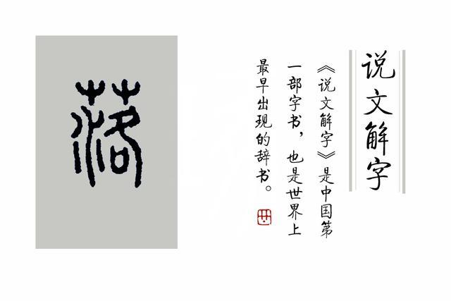 《说文解字》第89课:古人在用字上是如何区别草落叶与