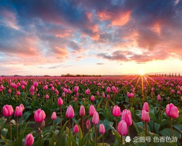 除夕之夜,感恩所有遇见,2019,愿你我一切安好猪事顺利