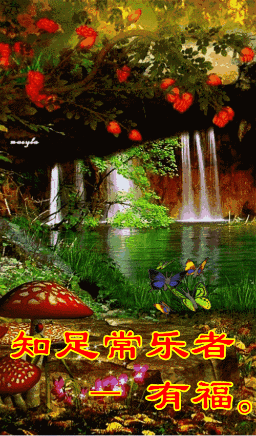 我要送你十二个福 祝你2019 福气满满好运连连