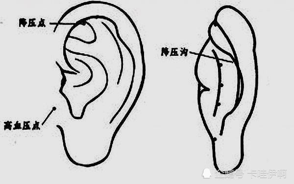 这个穴位可以降血压,放下手中的降压药吧