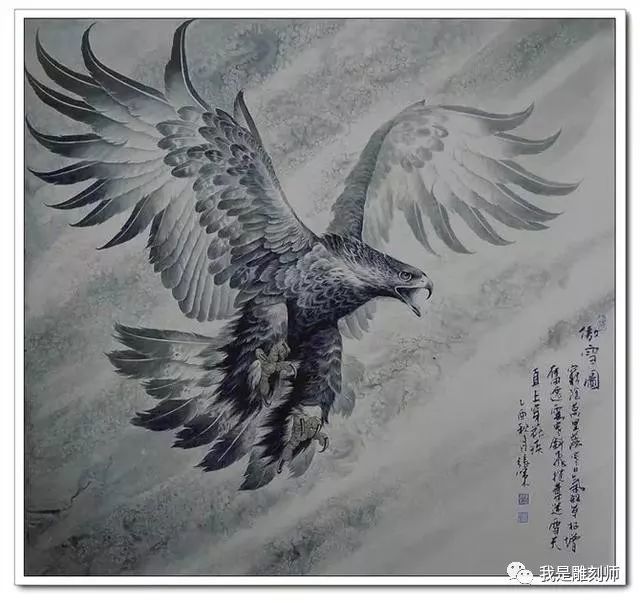 绘画魅力鹰姿百态图