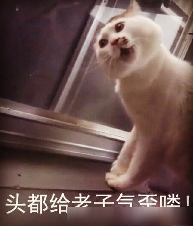搞笑·沙雕表情包:"甜言蜜语又不会缩,几有搬砖才能维