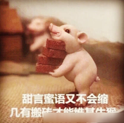 搞笑·沙雕表情包:"甜言蜜语又不会缩,几有搬砖才能维