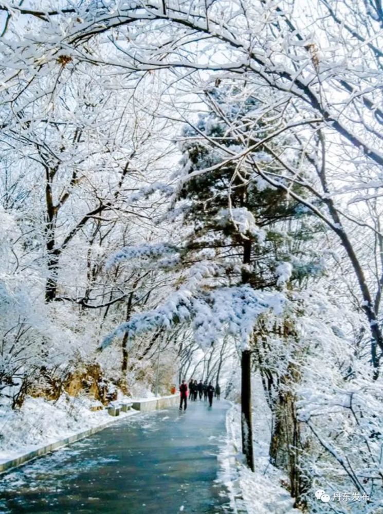 老话儿说: "瑞雪兆丰年" 正月里的这场大雪 让市民倍感欣喜之余 也对
