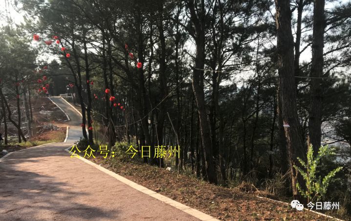 图为正在建设中的挂榜岭公园天梯俯视下方