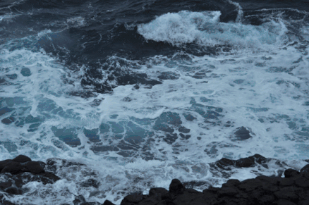 和海浪,日落,鱼虾来一场邂逅