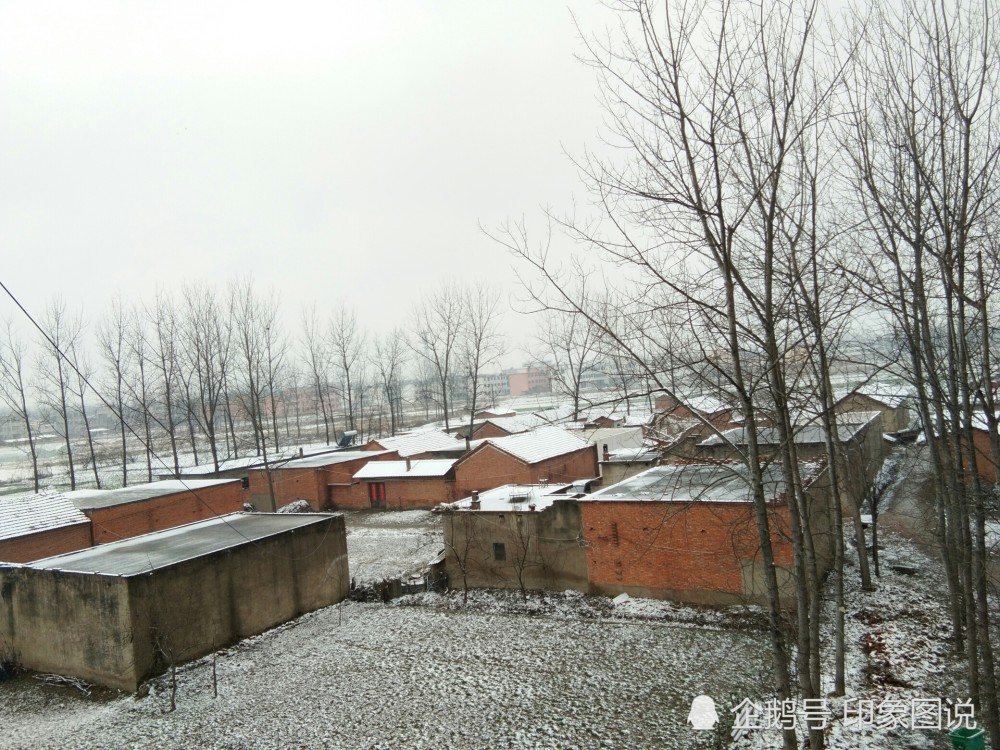 我们来看看农村的雪景!